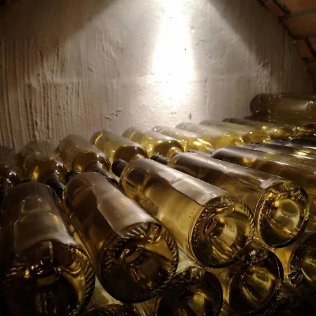 Apartment Wein&wohnen Matzl -