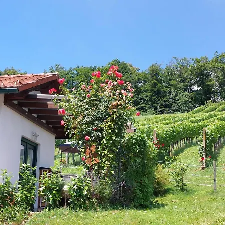 Wein & Wohnen Matzl - * Fuerstenfeld