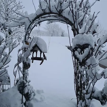 Apartment Wein&wohnen Matzl - *