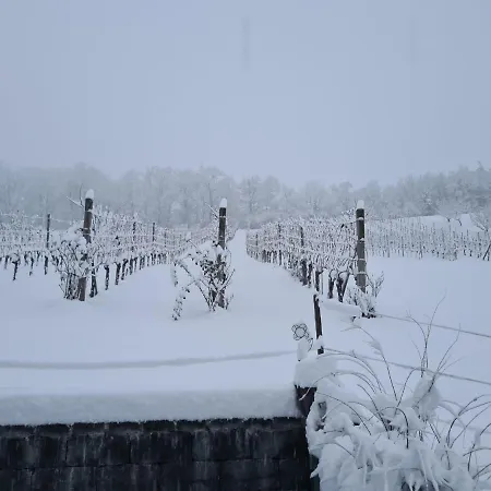 Wein&wohnen Matzl - Apartment