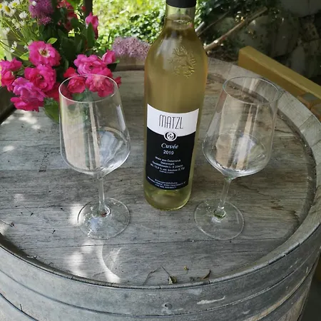 Wein & Wohnen Matzl - Apartamento
