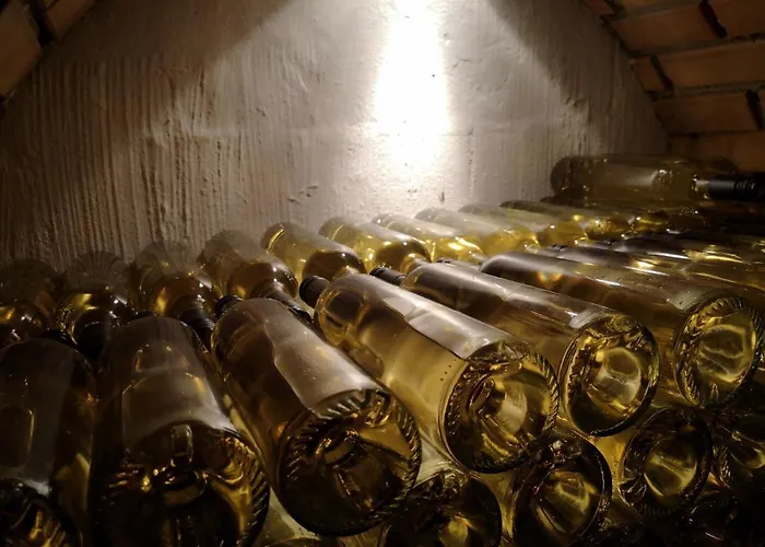 Apartmán Wein & Wohnen Matzl -