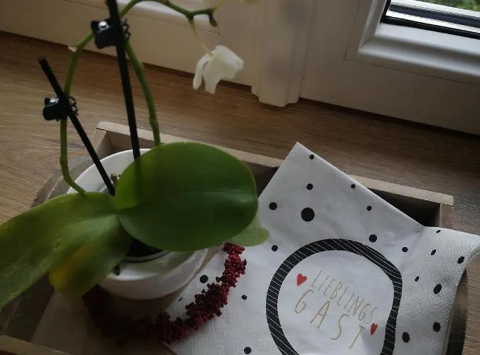 Wein & Wohnen Matzl - Apartmán *