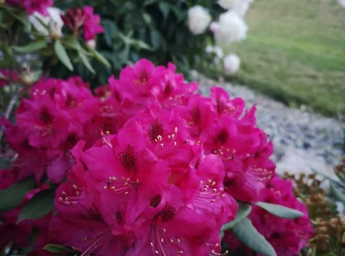 Apartmán Wein & Wohnen Matzl - *