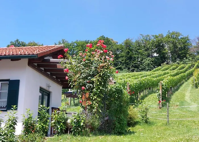 Wein & Wohnen Matzl - * Fuerstenfeld