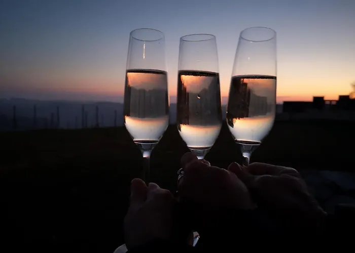 Wein & Wohnen Matzl - Apartmán