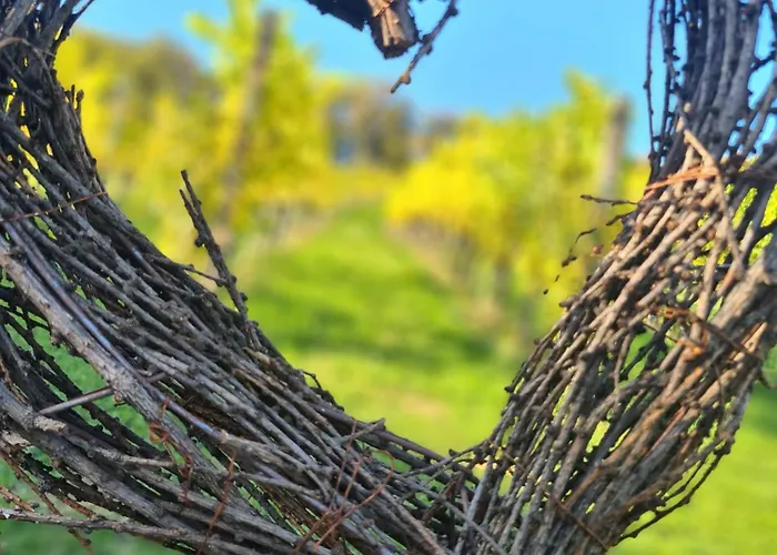 Apartmán Wein & Wohnen Matzl -