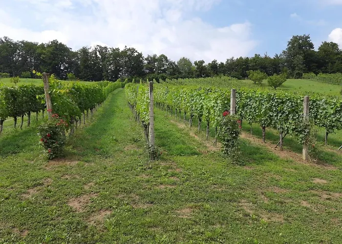 Wein & Wohnen Matzl - *